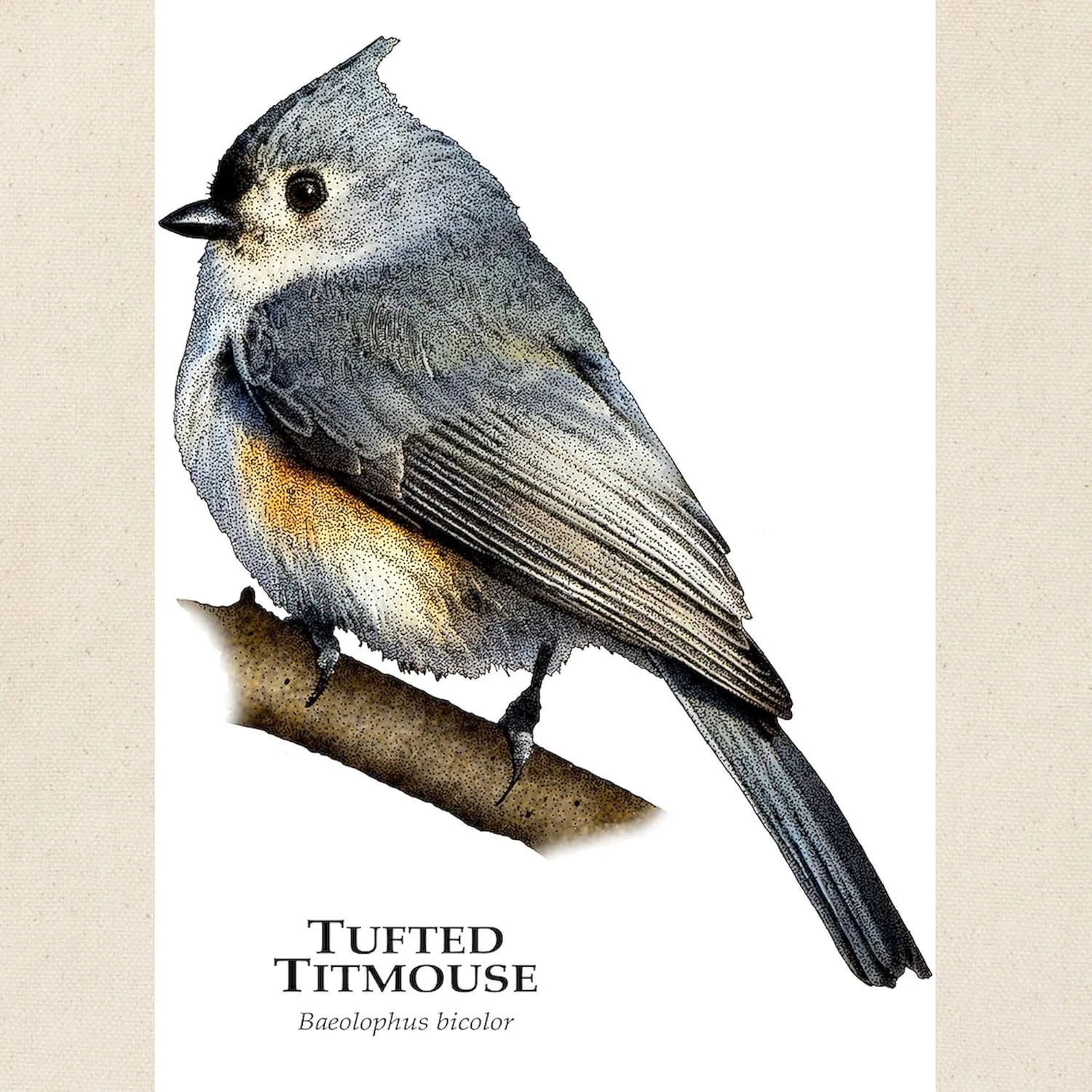 CafePress Tufted Titmouse Tote Bag Reusable Natural Beige Canvas Shopping Bag