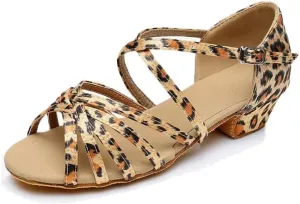 MSMAX Women Latin Dance Shoes High Heel Jazz Ballroom Dancing Shoe